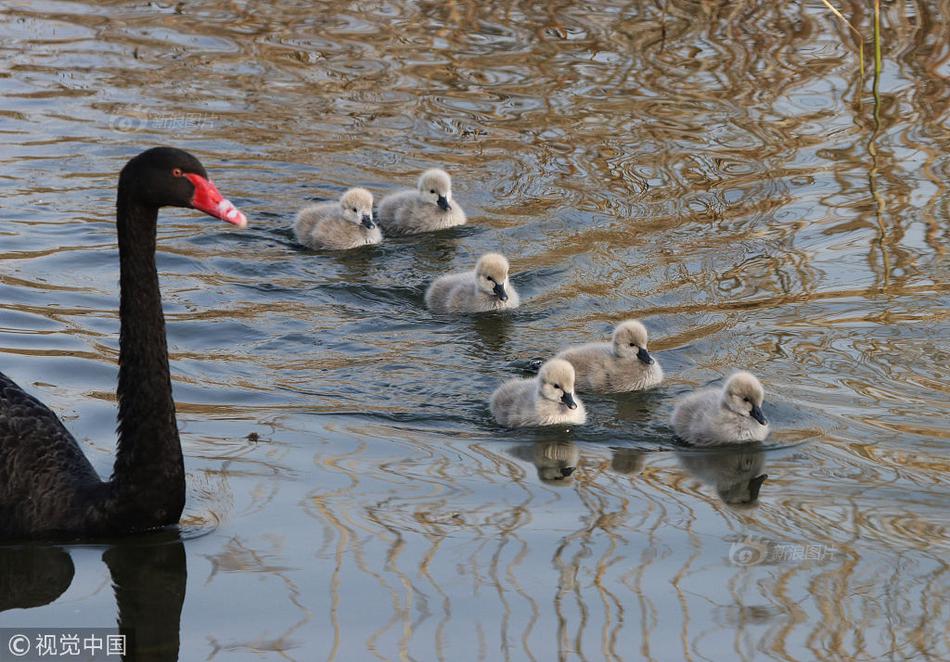 新英雄加盟《仙靈大作戰(zhàn)》 符石助力威震四方