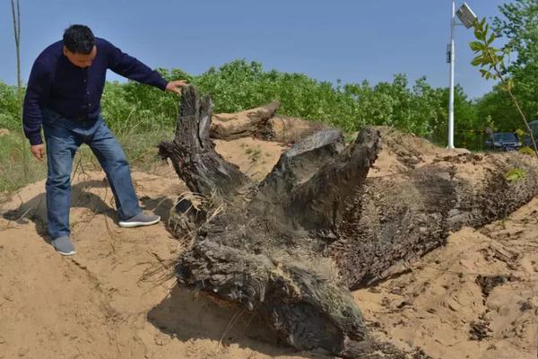 《大秦帝國(guó)OL》超爽不氪金 零元暢玩逆襲一切