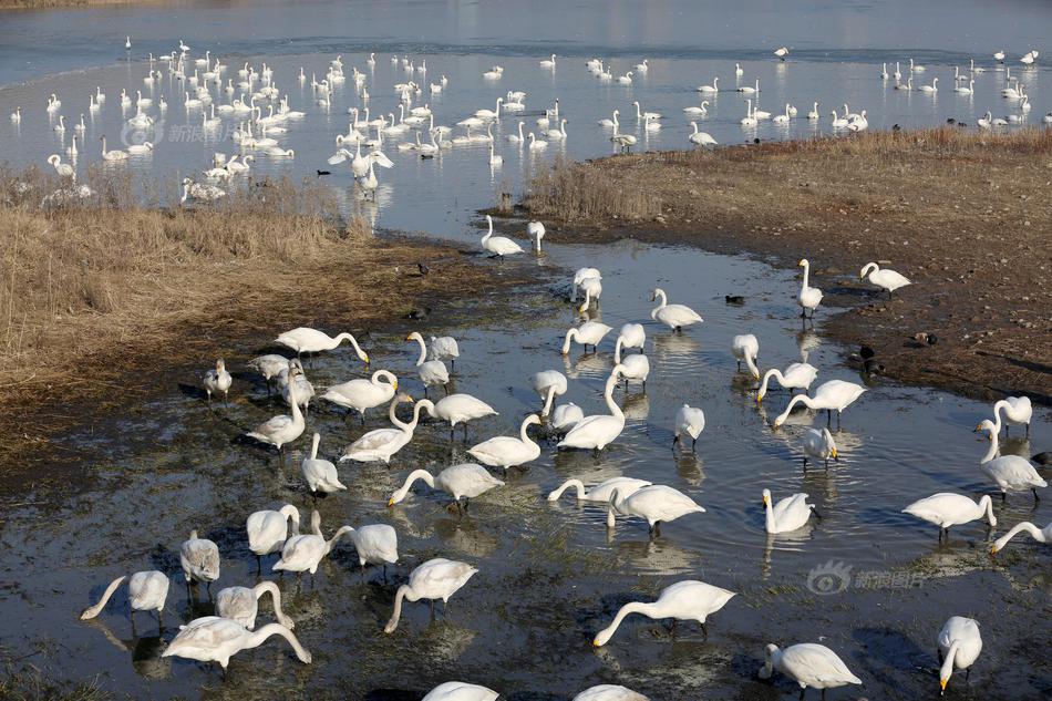 喚醒魔法情懷 與妹子一起暢玩《真霸王大陸》