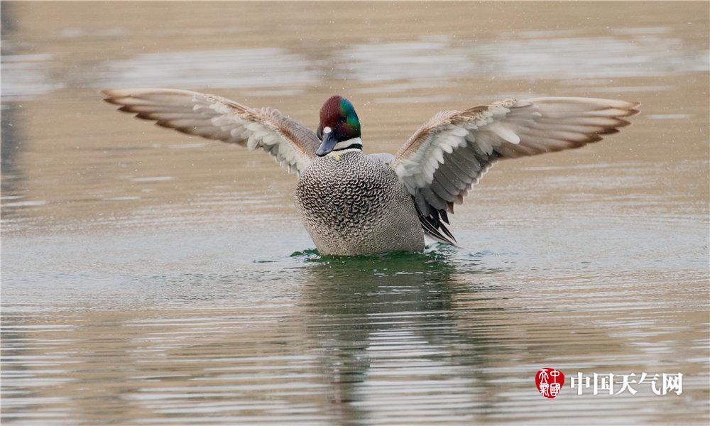 世界之源 《不思議迷宮》創(chuàng)世之門(mén)玩法揭秘