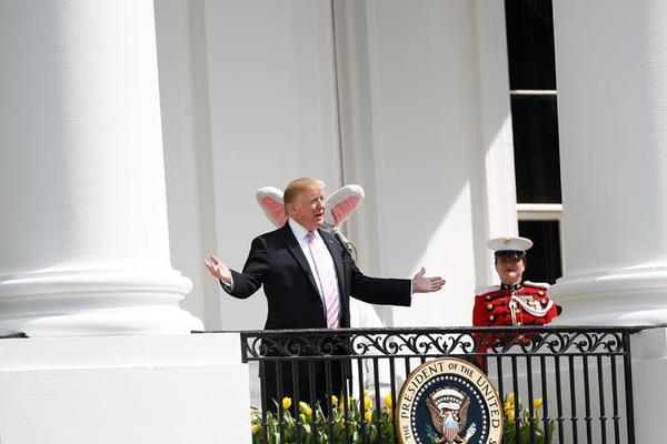 漫天花色正芳菲 《?；ǖ馁N身高手》美人作戰(zhàn)