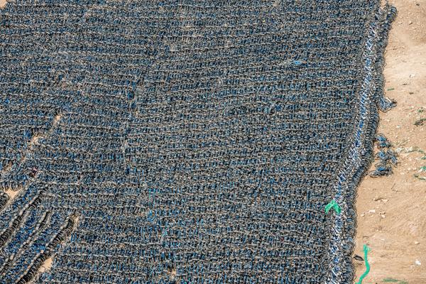 全新驚艷手感 《街籃高手》新版本正式上線(xiàn)