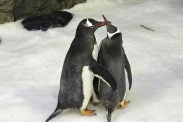 《君臨online》刪檔計(jì)費(fèi)測(cè)試即將開(kāi)啟