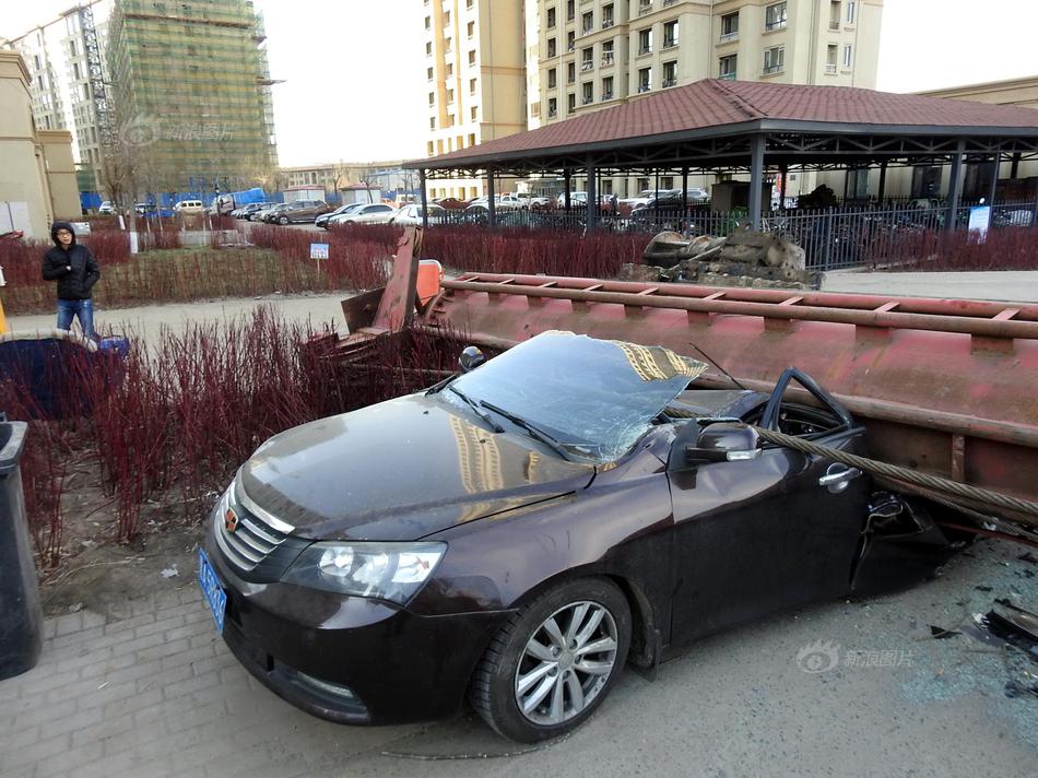 《SD敢達(dá)強(qiáng)襲戰(zhàn)線(xiàn)》新版本發(fā)力 誰(shuí)是最強(qiáng)老司機(jī)