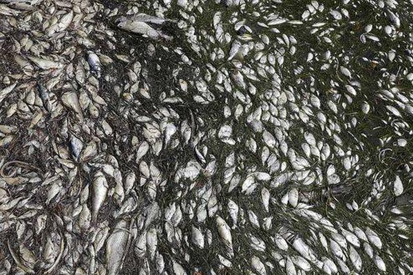 戰(zhàn)斗吧勇士 《放置勇者村》精彩副本大曝光