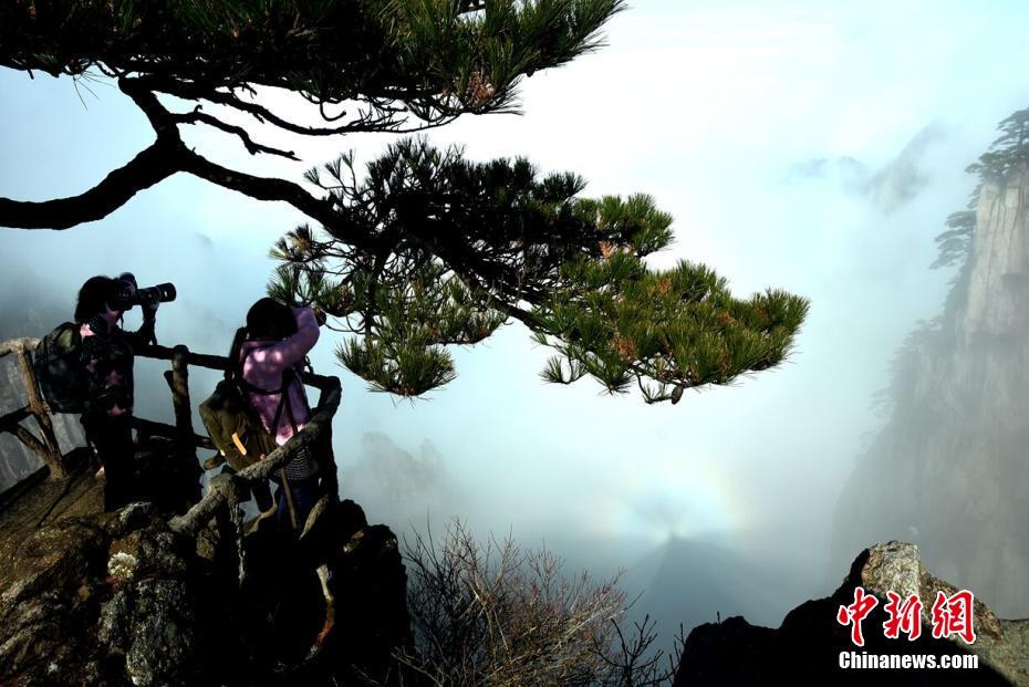 《輻射 避難所》AppStore獲新皮膚