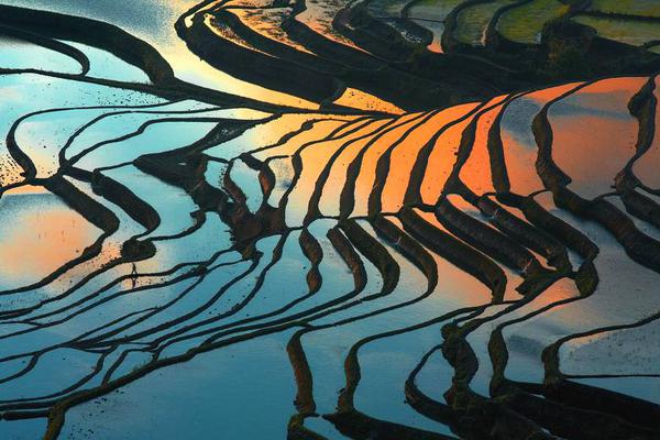 《怪獸大作戰(zhàn)》即將推出全新團(tuán)戰(zhàn)玩法