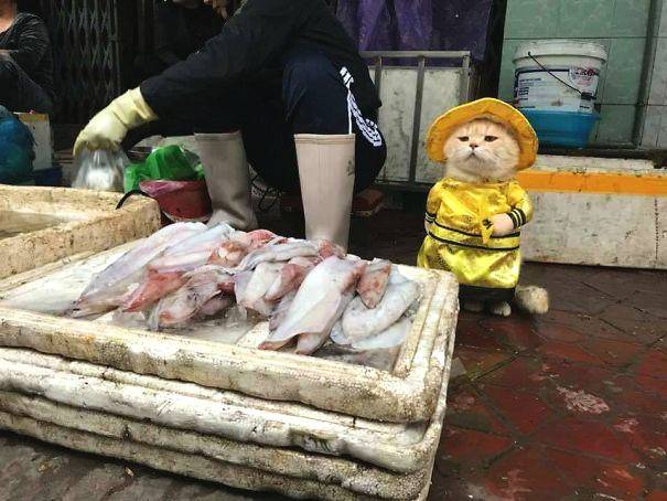 《葫蘆娃》山神寶庫(kù)挑戰(zhàn)白皮書(shū)