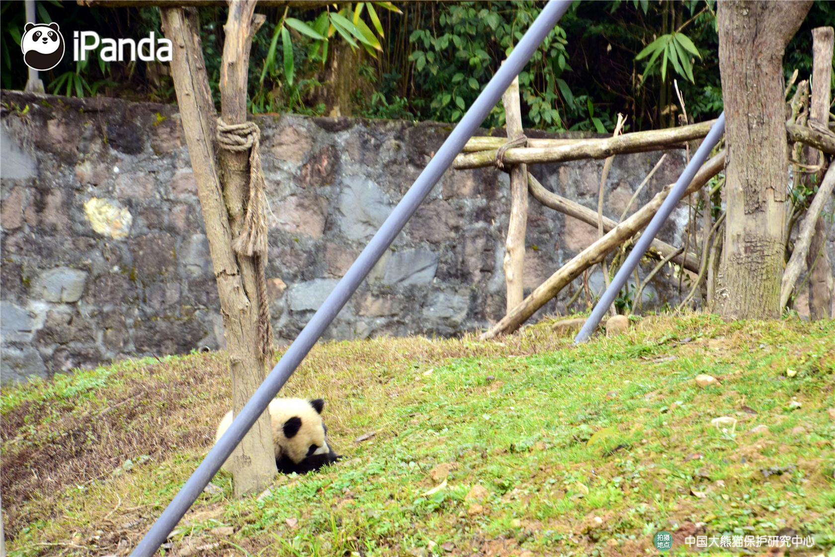 海陸空全線(xiàn)進(jìn)擊 《我的使命》三軍兵種原畫(huà)曝光