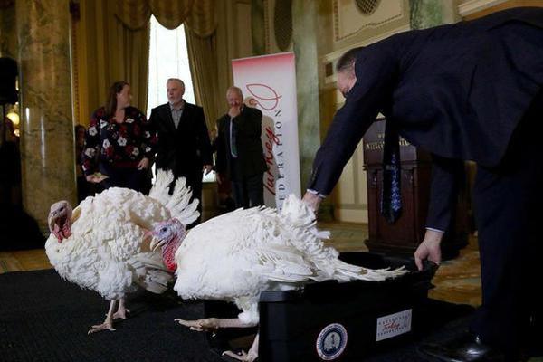 前世夢(mèng) 今生緣 《熹妃傳》十世情緣玩法解讀