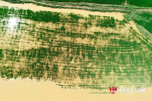 最傾城之戰(zhàn)開(kāi)幕 《烽火戲諸侯》今日全平臺(tái)公測(cè)