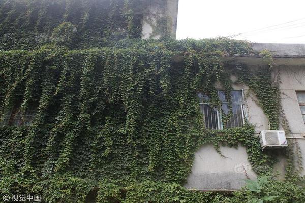 飛升上神 《三生三世十里桃花》和白淺一起修仙