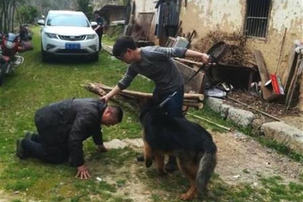 《天龍八部手游》預(yù)約進(jìn)行時(shí) 有一封信等你來(lái)回