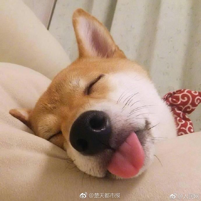 來(lái)自魅力王的設(shè)計(jì) 《推理學(xué)院》商城新鮮上架