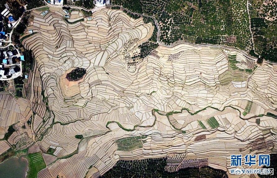 雙英雄齊發(fā) 《海島奇兵》全新大版本正式更新