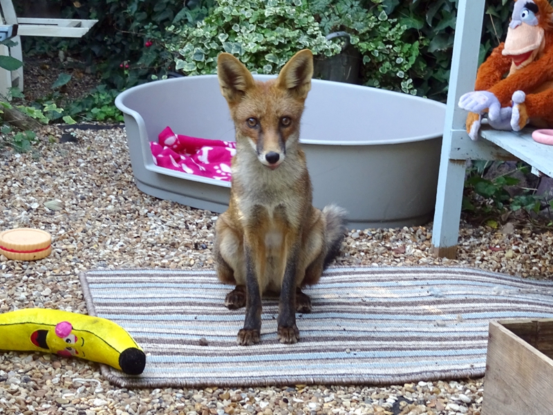 《戀人之森》3月30日誓約二測(cè)等你來(lái)約