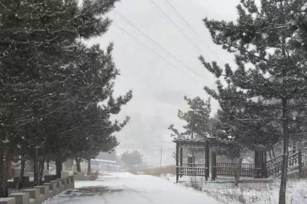 告別平凡玩轉(zhuǎn)新鮮 《仙靈外傳》特色元素大起底