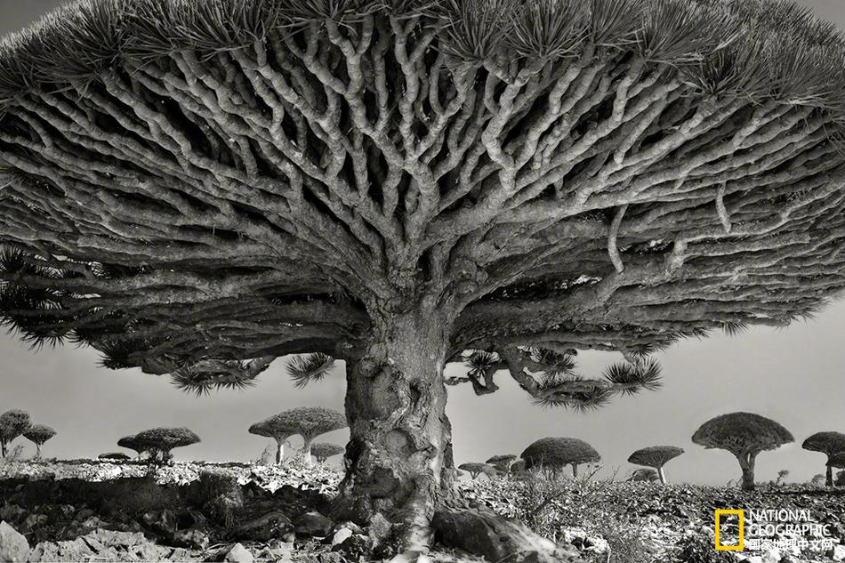 黑科技哪家強(qiáng) 《我的使命》好芯片讓你戰(zhàn)力登頂