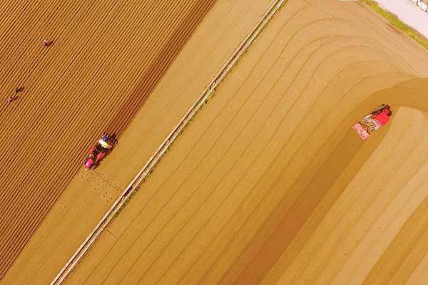 《新劍與魔法》一周年華誕 回顧浪漫轉(zhuǎn)型
