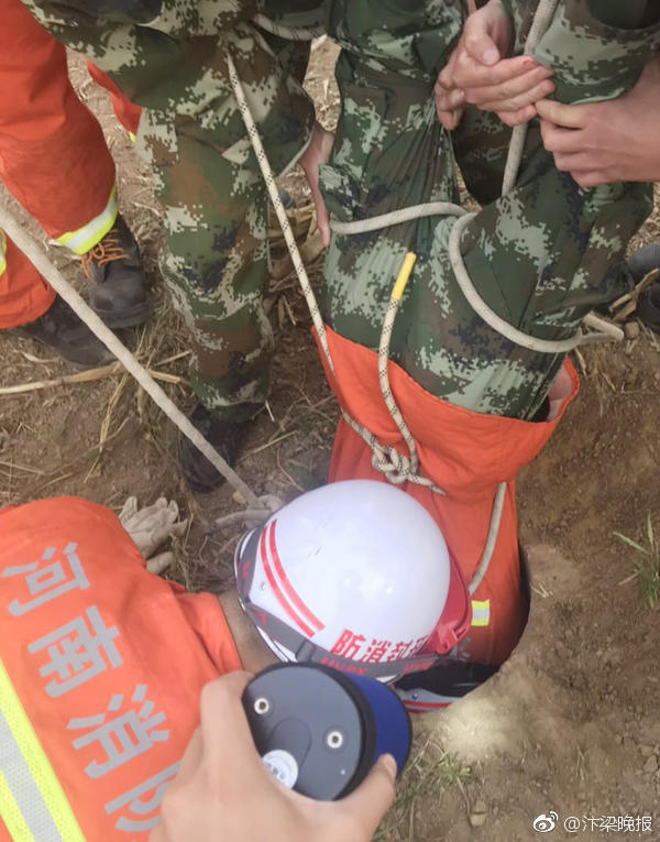 漫天花色正芳菲 《校花的貼身高手》美人作戰(zhàn)
