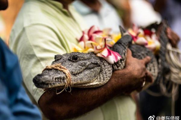 將公平競(jìng)技進(jìn)行到底 《街籃高手》新版內(nèi)容前瞻
