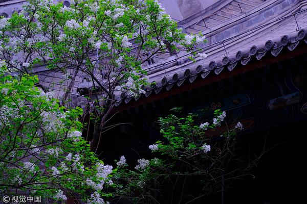 《街球聯(lián)盟》新版本玩法解讀 A級(jí)球員免費(fèi)拿