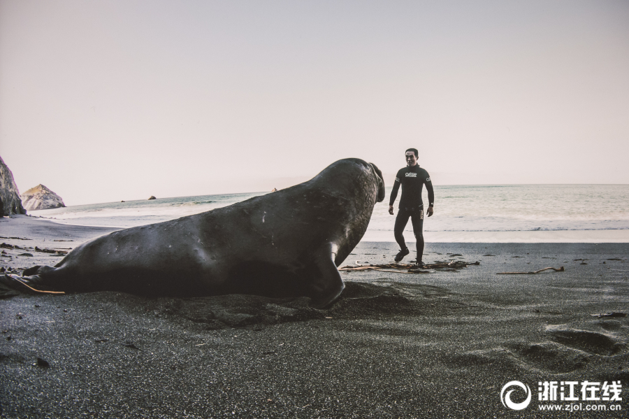 老哥穩(wěn)！《我的使命》教你如何制霸競(jìng)技場(chǎng)