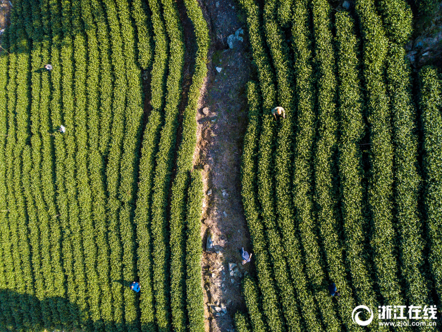 《烽火戲諸侯》3月23日公測(cè) 十大福利等你來(lái)拿[圖]