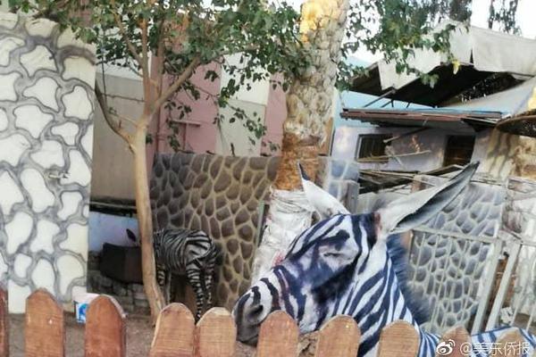 飛升上神 《三生三世十里桃花》和白淺一起修仙