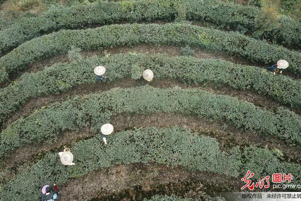 老哥穩(wěn)！《我的使命》教你如何制霸競(jìng)技場(chǎng)